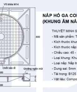 Bản vẽ nắp hố ga composite 800x800 MÃ TP-CKA800 2