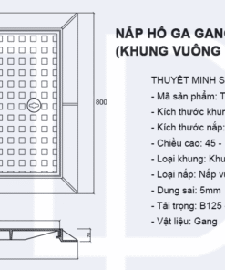 bản vẽ nắp hố ga gang 800x800 mã TP-KV800