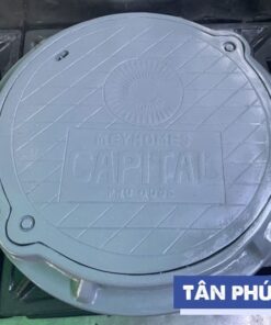 nắp hố ga composite D850 mã TP-KT850 1